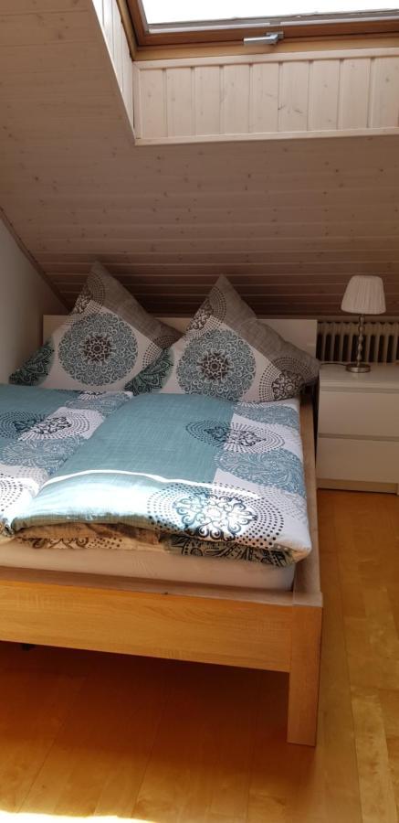 Appartment Sonnenblick Dielheim Zewnętrze zdjęcie